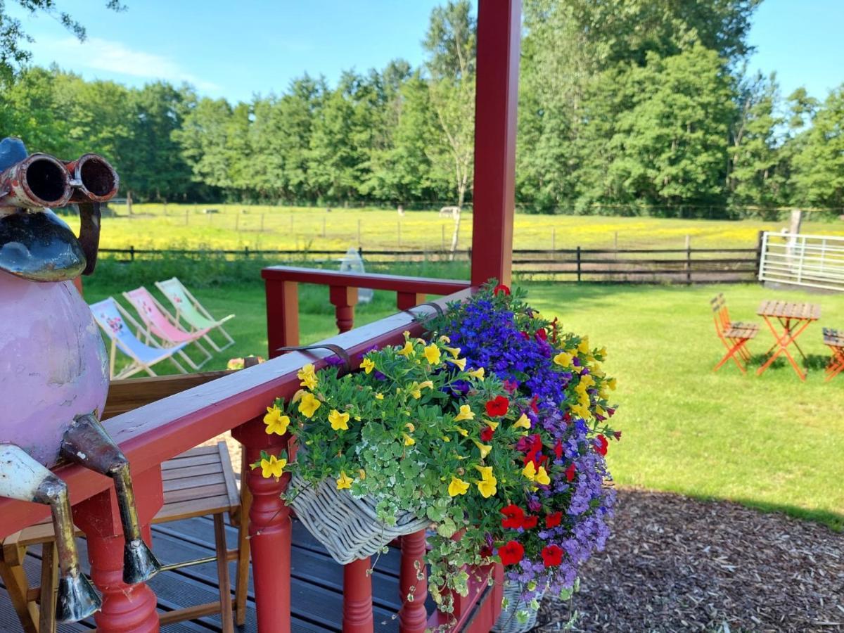 Margaux B&B Babbita Stokrooie エクステリア 写真